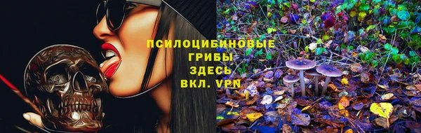 гидропоника Арсеньев
