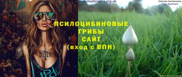 гидропоника Арсеньев